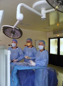 Clinica Shaio, Bogota, Colombia